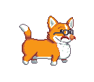Igor the corgi